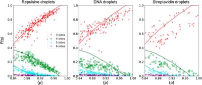 Adhesion Percolation Determines Global Deformation Behavior in Biomimetic Emulsions